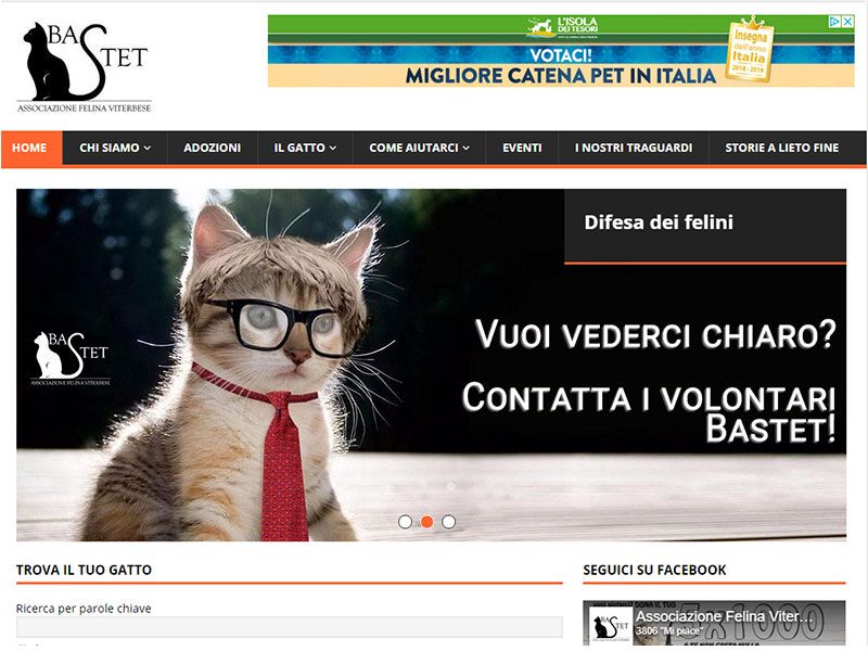 Associazione Felina Viterbese Bastet